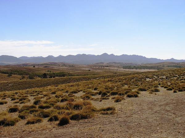 The Pound from a lookout