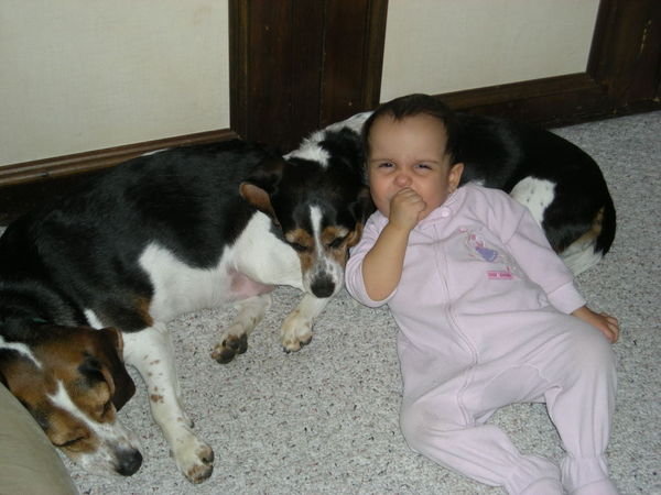 Violet Loves Those Pups 2