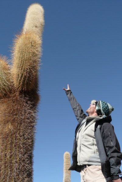 Huge cactus!!