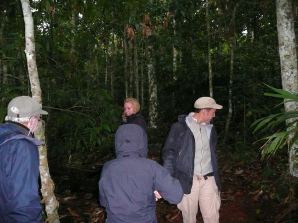 Trekking in the rainforest