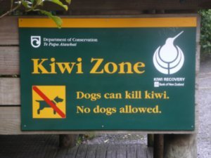 Take care of the Kiwi's!