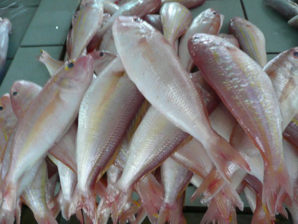 Fish market in KK
