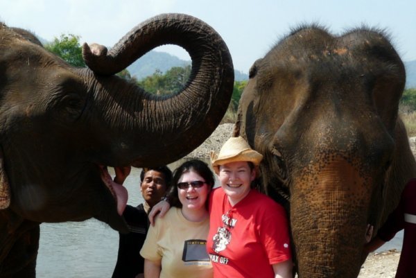 At the Elephant Nature Park, Chiang Mai