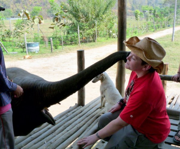 Lorna being kissed by an elephant