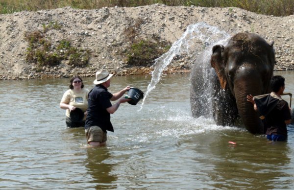 Dee bathing an elephant