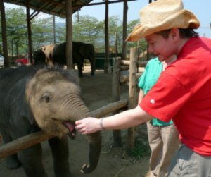 Feeding a baby elephant