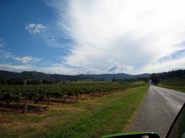 Hunter Valley Vineyards