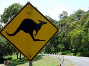 Watch out for the 'roos