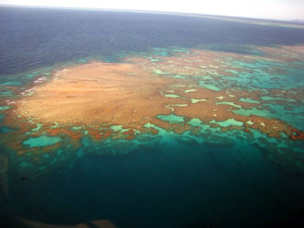 More spectacular Barrier Reef scenes