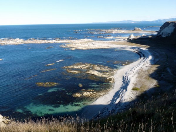 Views from the cliffs at Kaikoura