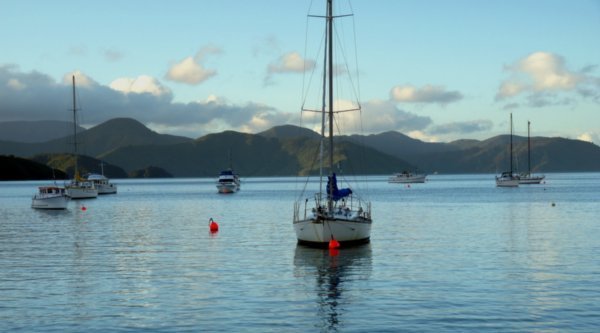 View of the Marlborough Sounds