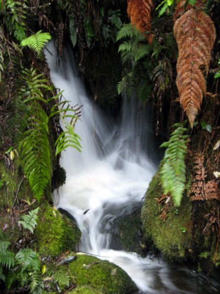 Te Wairoa Falls