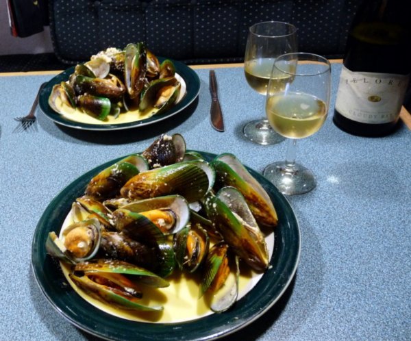 Green Shell Mussels from the Marlborough Sounds
