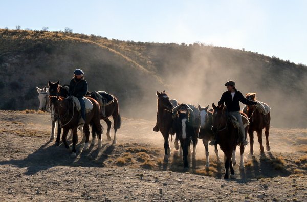 Horse riding in Mendoza