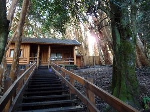Wooden cabin in the Arrayanes forest
