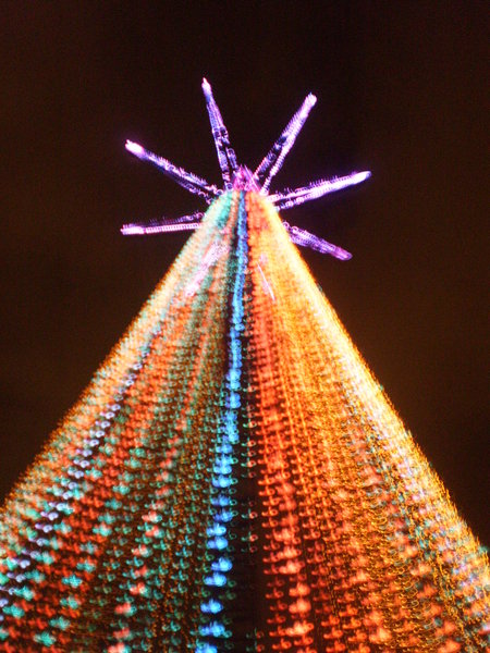 Ponsonby Christmas tree