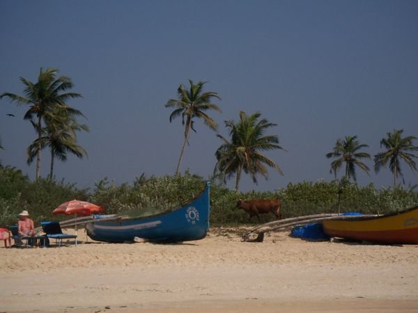 Benaulim Beach,Goa
