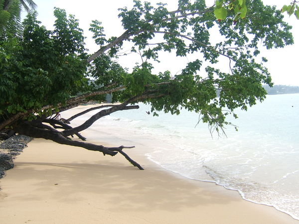 Sri Lanka2 - Unawatuna beach
