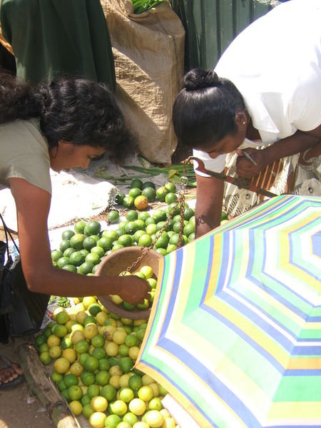 Sri Lanka9 - Chilaw fruit&veg market 2