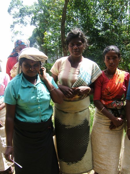 Sri Lanka67 - hill trek7 tea-pickers