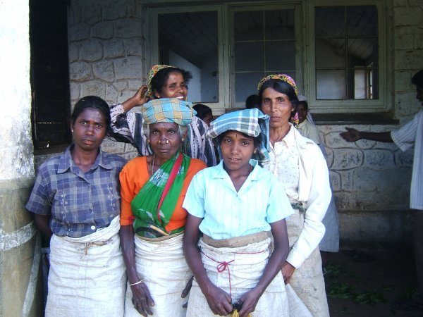 Sri Lanka76 - hill trek16 tea-pickers