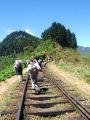 Sri Lanka61 - hill trek1 trainline
