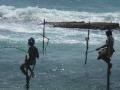 Sri Lanka87 - Mirrissa stilt fishermen