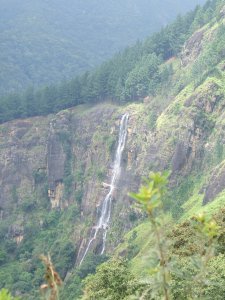 Sri Lanka79 - hill trek19 tallest waterfall