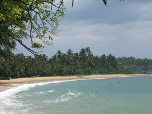 Sri Lanka86 - Mirrissa beach2