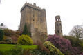 Blarney Castle, Blarney, County Cork, Ireland
