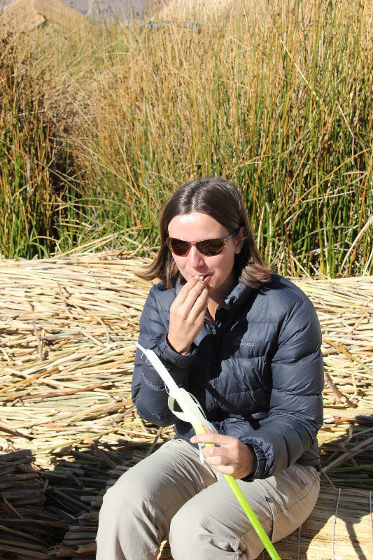 Uros Floating Islands - eating not so tasty reeds