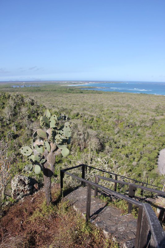 View from cerro Orchilla