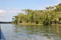 Views along the banks of the Rio Dulce
