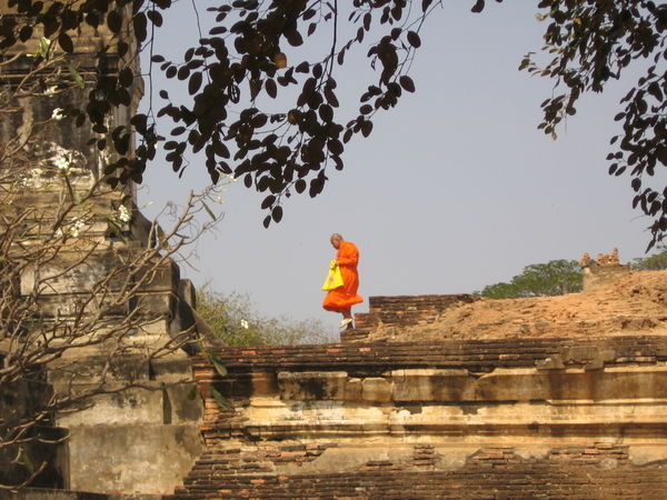 Monk at Mongkhon Bophit