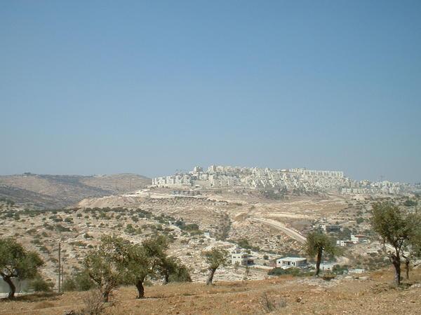 jewish settlement in the westbank