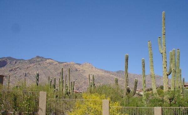 more Arizona scenery