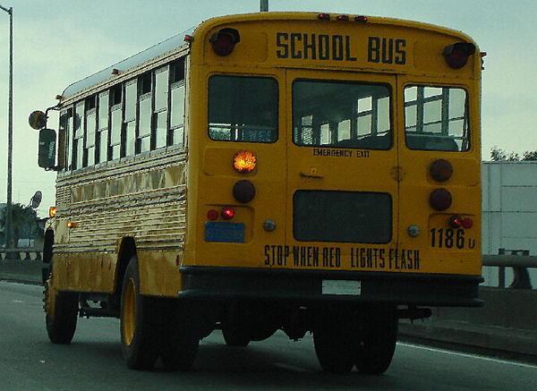 school bus LA