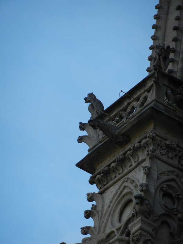 Gargoyles guarding Notre Dame