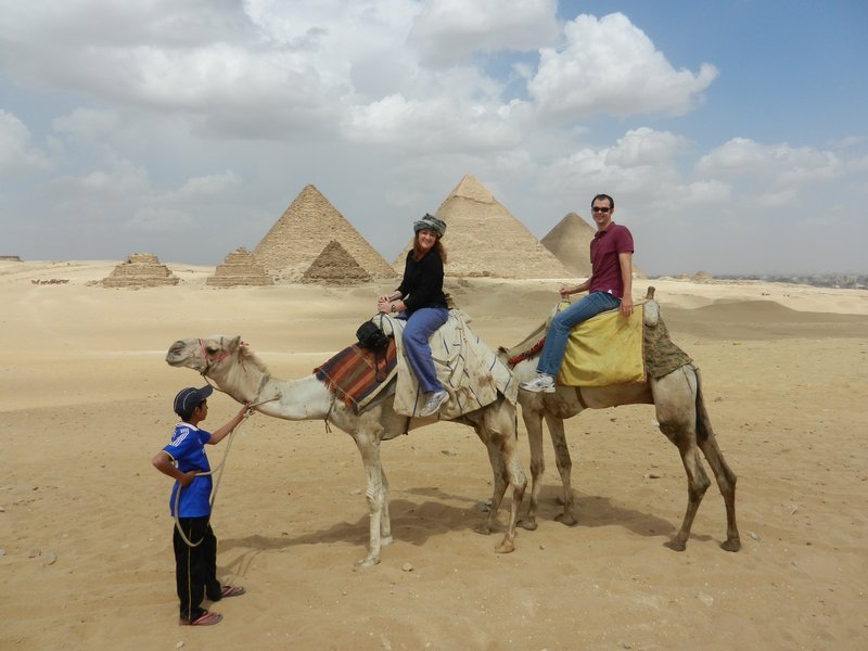Camels at the Pyramids