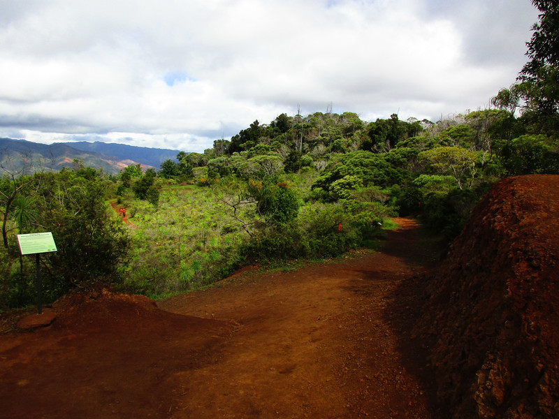The Waimea Nature Loop
