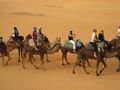 Riding camels to the oasis