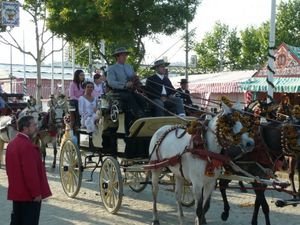 Carriages at Feria