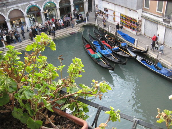 A true Venetian scene! View from the hotel!