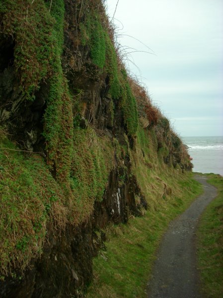 part of the path