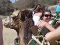 ...exactly like kara did when this camel was all the sudden right next to her head