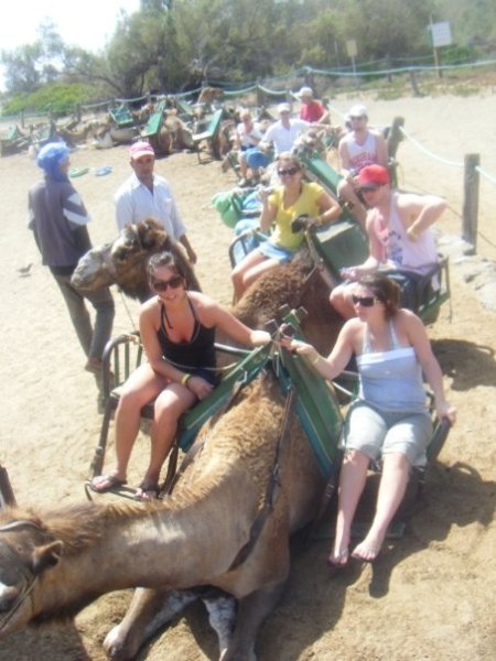 the group as the camel ride begins