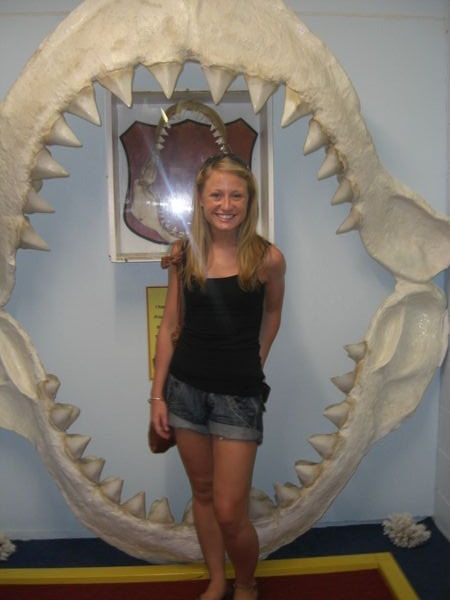 sharks jaw