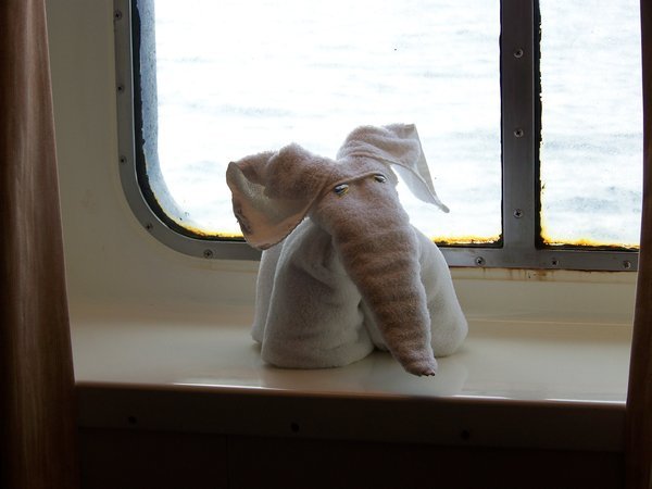 Arctic Elephant