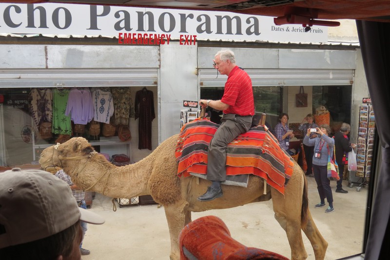 One last camel ride