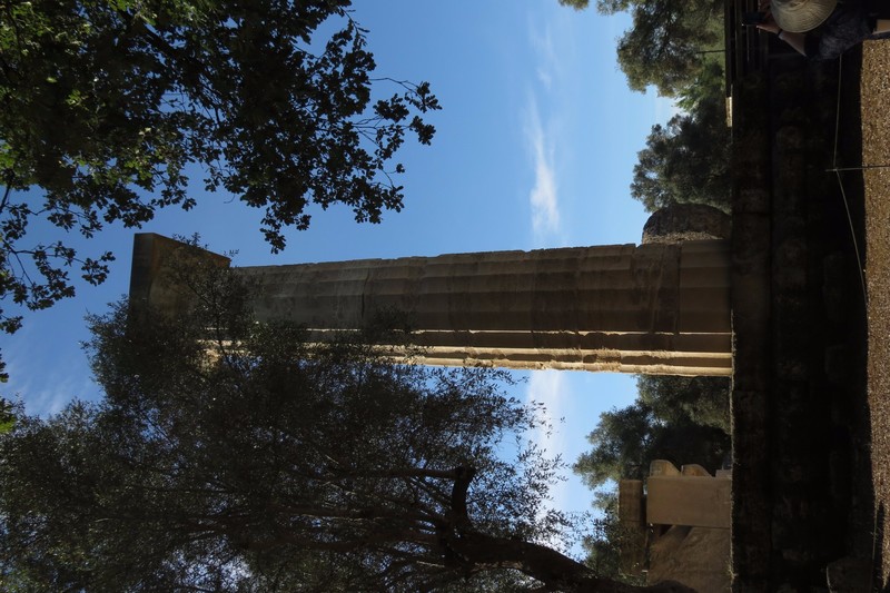 Column from the Temple of Zeus